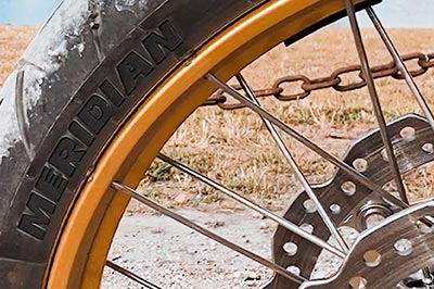 Le pneu Dunlop TrailMax Meridian