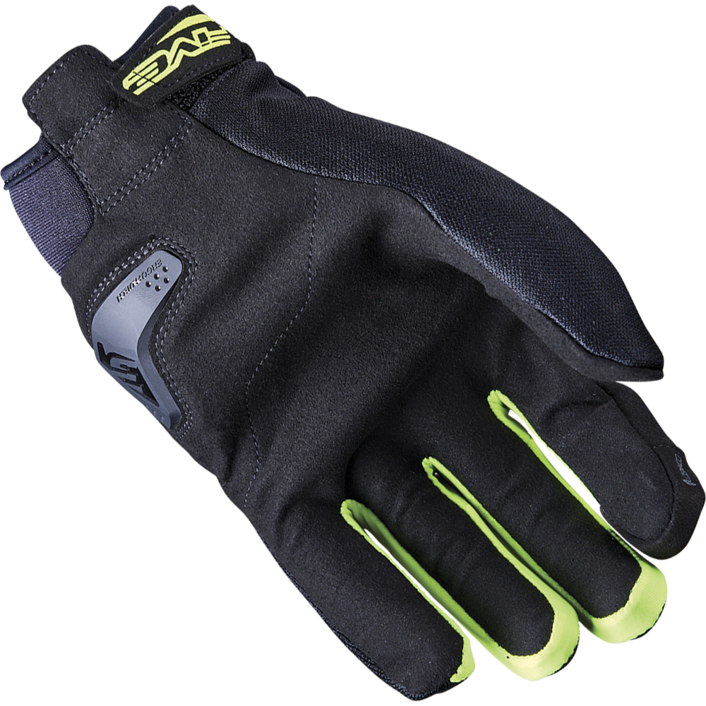 Gants Globe Evo