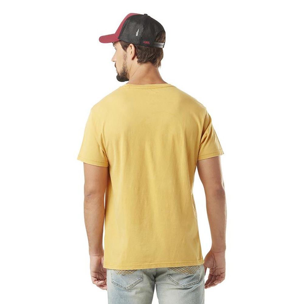 T-shirt Lion