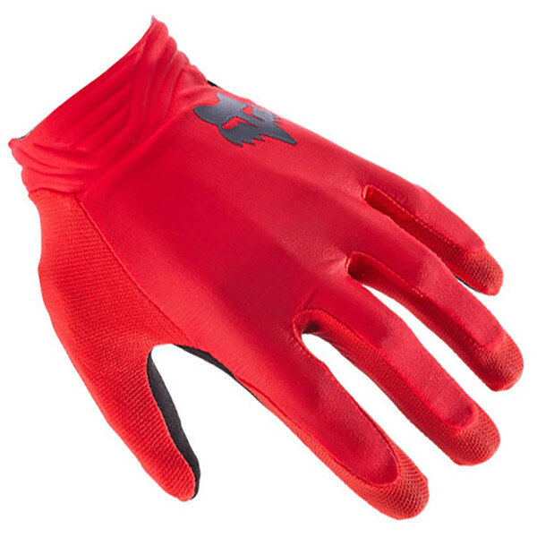 Gants Airline