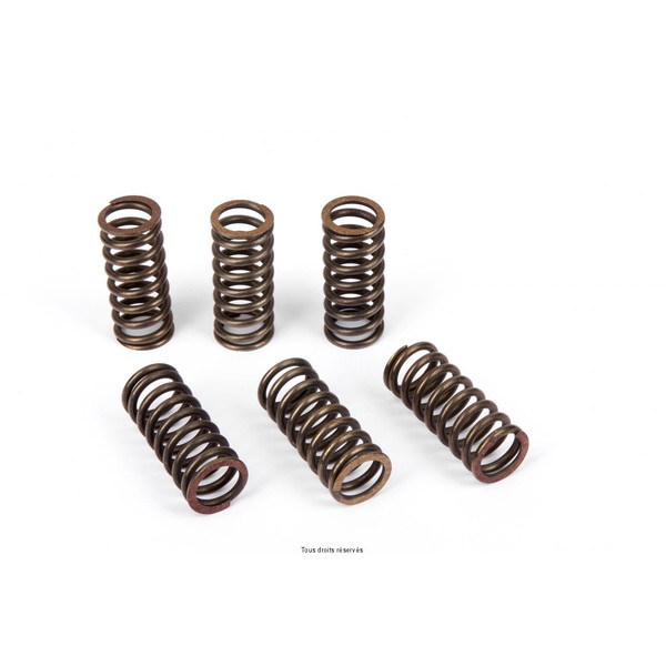 Kit ressort d'embrayage SK91044