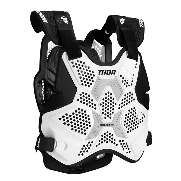 Pare-pierres Sentinel Pro