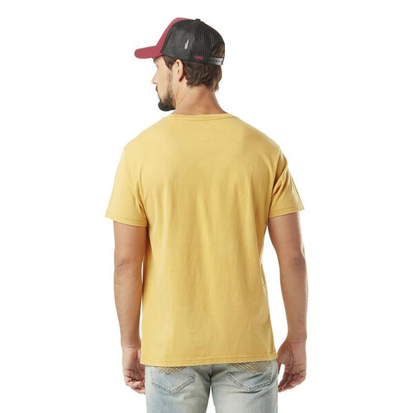 T-shirt Lion