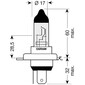 Ampoule H4 X-Racer