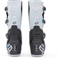 Bottes Motion