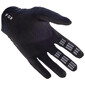 Gants Airline