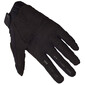 Gants Pawtector