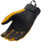 Gants Coast
