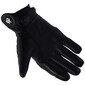 Gants Stand