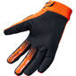 Gants Master